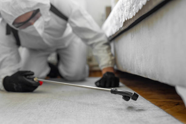 Professional Bed Bug Control technician working in Bloomingburg, OH